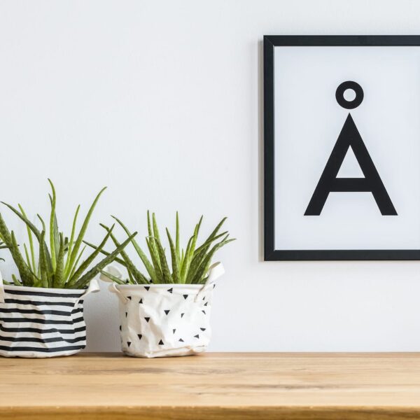 Typography Design